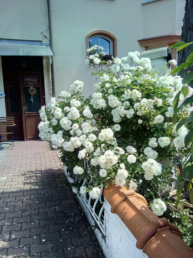 Penzion Villa Marion มาเรียอานซเกลาซนี ภายนอก รูปภาพ